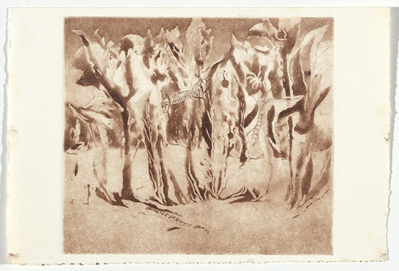 Artist: b'Lunn, Wendy.' | Title: b'not titled (Bush with insects)' | Date: (1980s) | Technique: b'aquatint and etching, printed in brown ink, from one plate' Artist: b'Lunn, Wendy.' | Title: b'not titled (Bush with insects)' | Date: (1980s) | Technique: b'aquatint and etching, printed in brown ink, from one plate'