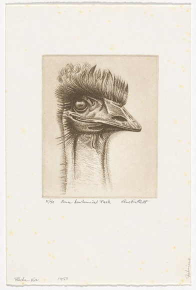 Artist: b'PLATT, Austin' | Title: b'Emu, Centennial Park' | Date: 1980 | Technique: b'etching, printed in black ink, from one plate' Artist: b'PLATT, Austin' | Title: b'Emu, Centennial Park' | Date: 1980 | Technique: b'etching, printed in black ink, from one plate'