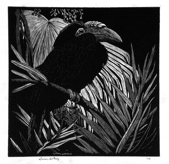 Artist: b'LINDSAY, Lionel' | Title: b'The Hornbill' | Date: 1931 | Technique: b'wood-engraving, printed in black ink, from one block' | Copyright: b'Courtesy of the National Library of Australia' Artist: b'LINDSAY, Lionel' | Title: b'The Hornbill' | Date: 1931 | Technique: b'wood-engraving, printed in black ink, from one block' | Copyright: b'Courtesy of the National Library of Australia'