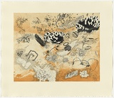 Title: b'Sea Wrack: Tide after Tide \xc2\x96 Baniyala' | Date: 2010 | Technique: b'etching'