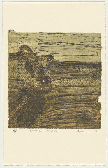 Artist: b'Cavanna, Claire.' | Title: b'Alluvia III - unnatural.' | Date: 1991 | Technique: b'woodcut, printed in colour, from multiple blocks' | Copyright: b'This work appears on screen courtesy of the artist and copyright holder' Artist: b'Cavanna, Claire.' | Title: b'Alluvia III - unnatural.' | Date: 1991 | Technique: b'woodcut, printed in colour, from multiple blocks' | Copyright: b'This work appears on screen courtesy of the artist and copyright holder'