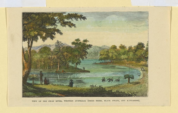 Title: b'View of the Swan River, Western Australia (grass trees, black swans, and kangaroos).' | Date: 1880s | Technique: b'engraving, printed in black ink, from one plate; hand-coloured at a later date' Title: b'View of the Swan River, Western Australia (grass trees, black swans, and kangaroos).' | Date: 1880s | Technique: b'engraving, printed in black ink, from one plate; hand-coloured at a later date'