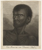 Title: Ein mann aus Van Diemen's Land | Date: c.1784 | Technique: etching and engraving, printed in black ink, from one plate