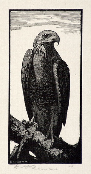 Artist: b'LINDSAY, Lionel' | Title: b'The brown hawk' | Date: 1924 | Technique: b'wood-engraving, printed in black ink, from one block' | Copyright: b'Courtesy of the National Library of Australia' Artist: b'LINDSAY, Lionel' | Title: b'The brown hawk' | Date: 1924 | Technique: b'wood-engraving, printed in black ink, from one block' | Copyright: b'Courtesy of the National Library of Australia'