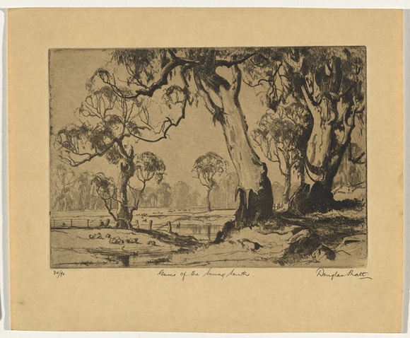 Artist: b'Pratt, Douglas.' | Title: b'Gums of the sunny south' | Date: 1937 | Technique: b'etching, printed in black ink, from one plate' Artist: b'Pratt, Douglas.' | Title: b'Gums of the sunny south' | Date: 1937 | Technique: b'etching, printed in black ink, from one plate'