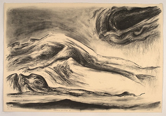 Artist: b'Trenfield, Wells.' | Title: b'Melaleuca landscape VI' | Date: 1986 | Technique: b'lithograph, printed in black ink, from one stone' Artist: b'Trenfield, Wells.' | Title: b'Melaleuca landscape VI' | Date: 1986 | Technique: b'lithograph, printed in black ink, from one stone'
