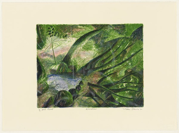 Artist: b'Robinson, William.' | Title: b'Rainforest' | Date: 1992 | Technique: b'lithograph, printed in colour, from five stones' Artist: b'Robinson, William.' | Title: b'Rainforest' | Date: 1992 | Technique: b'lithograph, printed in colour, from five stones'
