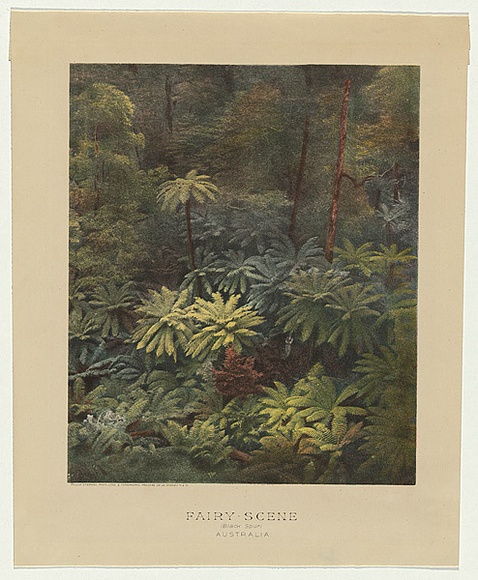 Artist: b'Caire, Nicholas.' | Title: b'Fairy scene (Black Spur) Australia c.1888.' | Date: c.1878-88 | Technique: b'photo-lithograph, printed in colour, from multiple stones' Artist: b'Caire, Nicholas.' | Title: b'Fairy scene (Black Spur) Australia c.1888.' | Date: c.1878-88 | Technique: b'photo-lithograph, printed in colour, from multiple stones'