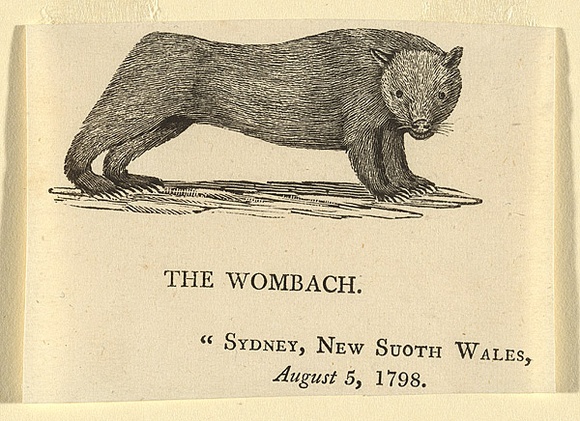 Artist: b'Bewick, Thomas' | Title: b'The Wombach.' | Date: 1800 | Technique: b'wood-engraving, printed in black ink, from one block' Artist: b'Bewick, Thomas' | Title: b'The Wombach.' | Date: 1800 | Technique: b'wood-engraving, printed in black ink, from one block'