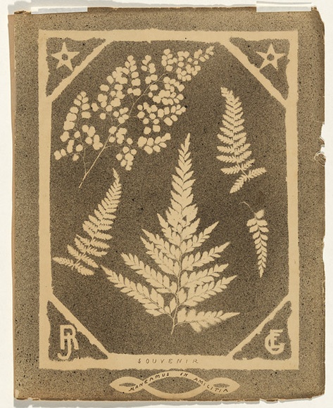 Artist: b'Jackson, Robert.' | Title: b'Souvenir' | Date: 1875 | Technique: b'splatterwork, printed in black ink, from one stencil' Artist: b'Jackson, Robert.' | Title: b'Souvenir' | Date: 1875 | Technique: b'splatterwork, printed in black ink, from one stencil'