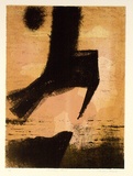 Artist: b'King, Grahame.' | Title: b'Predatory Bird' | Date: 1963 | Technique: b'lithograph, printed in colour, from three zinc plates'
