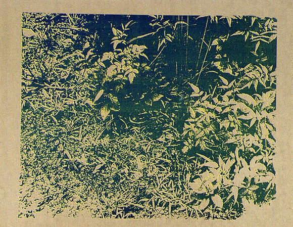 Artist: b'Conacher, Andrew.' | Title: b'(Poster of plants).' | Date: c.1974 | Technique: b'screenprint, printed in green ink, from one stencil' Artist: b'Conacher, Andrew.' | Title: b'(Poster of plants).' | Date: c.1974 | Technique: b'screenprint, printed in green ink, from one stencil'