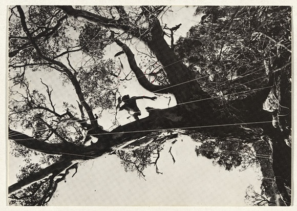 Artist: b'STELARC' | Title: b'Mail art: Prepared tree suspension event for obsolete body No.6' | Date: 1982 | Technique: b'offset-lithograph, printed in black ink' | Copyright: b'Courtesy the artist, Stelarc and Sherman Galleries, Sydney' Artist: b'STELARC' | Title: b'Mail art: Prepared tree suspension event for obsolete body No.6' | Date: 1982 | Technique: b'offset-lithograph, printed in black ink' | Copyright: b'Courtesy the artist, Stelarc and Sherman Galleries, Sydney'