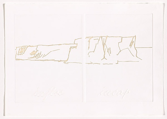 Title: b'Antarctica (sheet 6)' | Date: 1988 | Technique: b'photo-etching and embossing, printed in intaglio and relief, from two zinc plates'