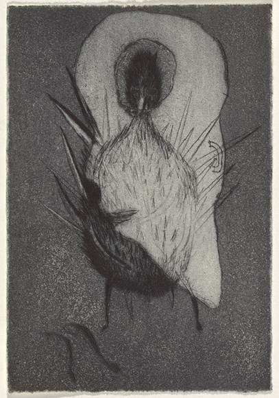 Artist: b'Uhlmann, Paul.' | Title: b'New Insecta Queensland by A A Girault.' | Date: 1989 | Technique: b'etching' Artist: b'Uhlmann, Paul.' | Title: b'New Insecta Queensland by A A Girault.' | Date: 1989 | Technique: b'etching'