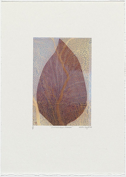 Artist: b'Wright, Helen.' | Title: b'(Maroon leaf, yellow coral design background)' | Date: 2000 | Technique: b'digital print, printed in colour, from digital file' Artist: b'Wright, Helen.' | Title: b'(Maroon leaf, yellow coral design background)' | Date: 2000 | Technique: b'digital print, printed in colour, from digital file'