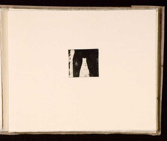 Artist: b'Mann, Gillian.' | Title: b'(Female legs).' | Date: 1981 | Technique: b'etching, printed in black ink, from one plate' Artist: b'Mann, Gillian.' | Title: b'(Female legs).' | Date: 1981 | Technique: b'etching, printed in black ink, from one plate'