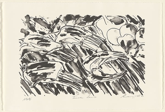 Artist: b'Lee, Graeme.' | Title: b'Tusche lamb' | Date: 1997, April | Technique: b'lithograph, printed in black ink, from one stone' Artist: b'Lee, Graeme.' | Title: b'Tusche lamb' | Date: 1997, April | Technique: b'lithograph, printed in black ink, from one stone'