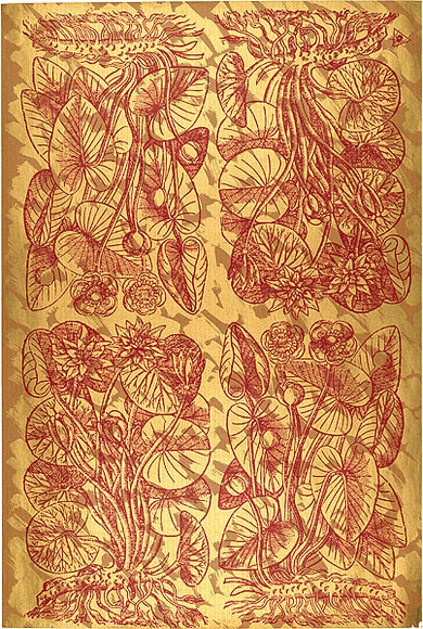 Artist: b'REDBACK GRAPHIX' | Title: b'Wrapping paper: Gold' | Date: 1986 | Technique: b'screenprint, printed in colour, from three stencils' Artist: b'REDBACK GRAPHIX' | Title: b'Wrapping paper: Gold' | Date: 1986 | Technique: b'screenprint, printed in colour, from three stencils'