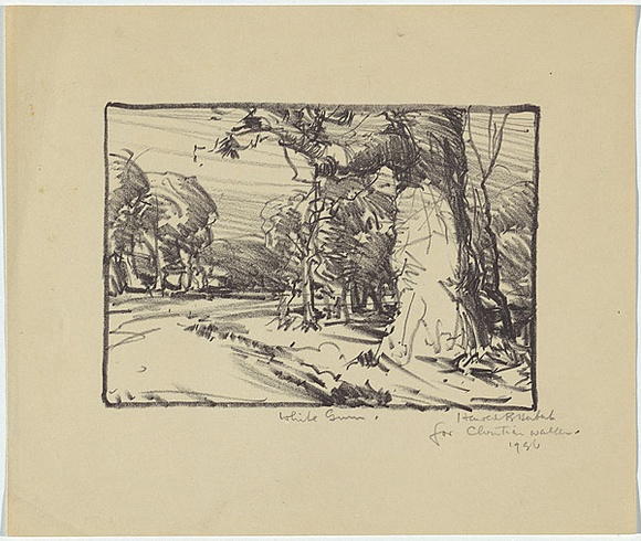 Artist: b'Herbert, Harold.' | Title: b'Greeting card: White gum' | Date: c.1933 | Technique: b'lithograph, printed in black ink, from one stone' Artist: b'Herbert, Harold.' | Title: b'Greeting card: White gum' | Date: c.1933 | Technique: b'lithograph, printed in black ink, from one stone'