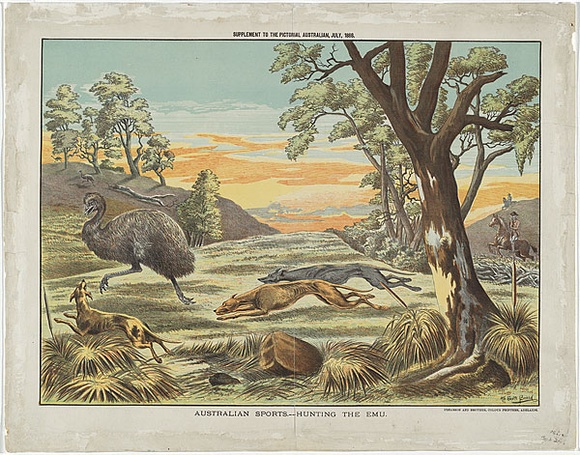 Artist: b'Scott Broad' | Title: b'Australian sports - hunting the emu.' | Date: 1886 | Technique: b'lithograph, printed in colour, from six stones' Artist: b'Scott Broad' | Title: b'Australian sports - hunting the emu.' | Date: 1886 | Technique: b'lithograph, printed in colour, from six stones'