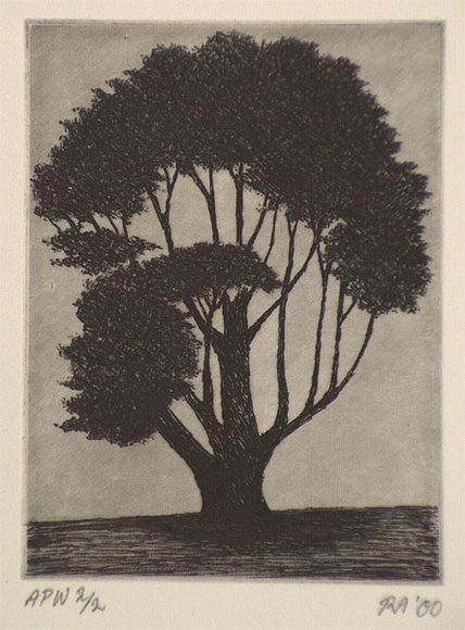 Artist: b'Atkins, Ros.' | Title: b'Dark tree' | Date: 2000, November | Technique: b'engraving, printed in black ink, from one copper plate' Artist: b'Atkins, Ros.' | Title: b'Dark tree' | Date: 2000, November | Technique: b'engraving, printed in black ink, from one copper plate'