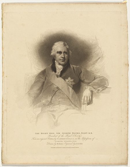 Title: b'The Right Honourable Sir Joseph Banks, Bart.K.B, President of the Royal Society, from an original picture by T. Lawrence, Esq., R.A. in the possession of Samuel Lysons, Esq.' | Date: 1810 | Technique: b'stiple-engraving, printed in black ink, from one copper plate'