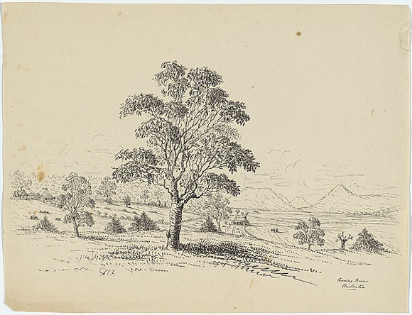 Artist: b'Fairholme, George Knight Erskine.' | Title: b'Canning Downs. Australia. [with homestead on the left].' | Date: c.1853 | Technique: b'lithograph, printed in black ink, from one stone'