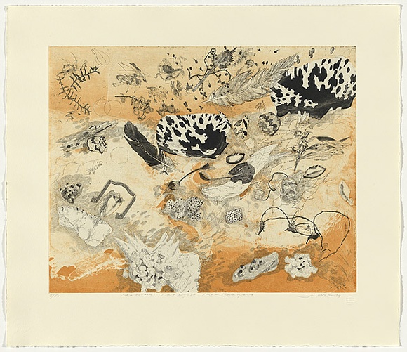 Title: b'Sea Wrack: Tide after Tide \xc2\x96 Baniyala' | Date: 2010 | Technique: b'etching'