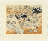 Title: Sea Wrack: Tide after Tide  Baniyala | Date: 2010 | Technique: etching