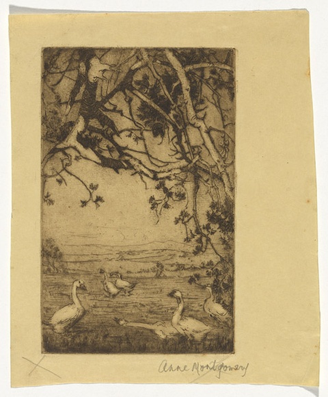 Artist: b'Montgomery, Anne.' | Title: b'(Geese)' | Date: (1930s) | Technique: b'etching, aquatint printed in brown ink with plate-tone, from one plate' Artist: b'Montgomery, Anne.' | Title: b'(Geese)' | Date: (1930s) | Technique: b'etching, aquatint printed in brown ink with plate-tone, from one plate'