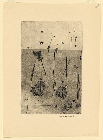 Artist: b'WILLIAMS, Fred' | Title: b'Gum trees in landscape, Lysterfield' | Date: 1965-66 | Technique: b'etching, sugar aquatint, engraving, open biting, printed in black ink, from one copper plate' | Copyright: b'\xc2\xa9 Fred Williams Estate' Artist: b'WILLIAMS, Fred' | Title: b'Gum trees in landscape, Lysterfield' | Date: 1965-66 | Technique: b'etching, sugar aquatint, engraving, open biting, printed in black ink, from one copper plate' | Copyright: b'\xc2\xa9 Fred Williams Estate'