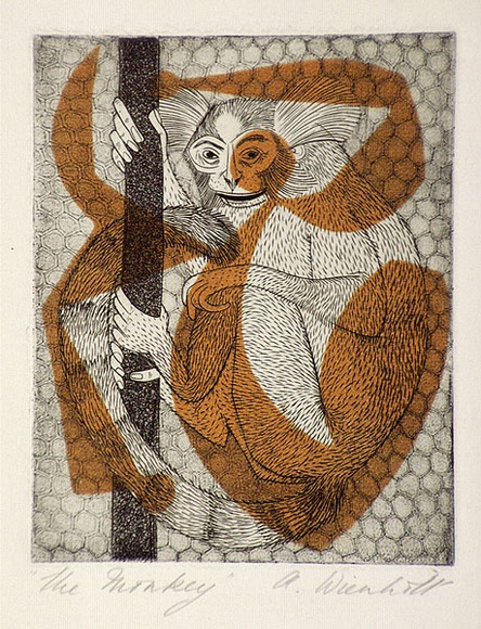 Artist: b'Wienholt, Anne.' | Title: b'The monkey' | Technique: b'engraving, printed in black ink, from one copper plate; orange ink applied through cut paper stencil' Artist: b'Wienholt, Anne.' | Title: b'The monkey' | Technique: b'engraving, printed in black ink, from one copper plate; orange ink applied through cut paper stencil'