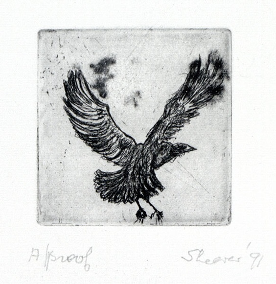 Artist: b'Shearer, Mitzi.' | Title: b'not titled' | Date: 1991 | Technique: b'etching, printed in black ink with plate-tone, from one plate' Artist: b'Shearer, Mitzi.' | Title: b'not titled' | Date: 1991 | Technique: b'etching, printed in black ink with plate-tone, from one plate'