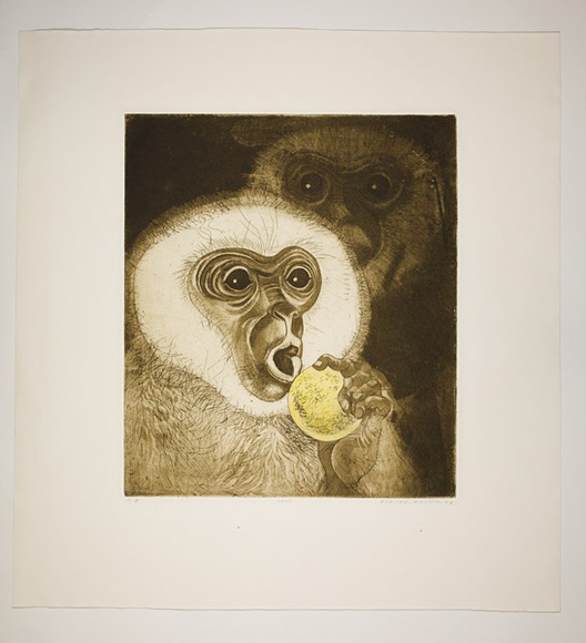Artist: b'Haxton, Elaine' | Title: b'Sour' | Date: 1972 | Technique: b'open-bite etching and aquatint, roulette, hand-coloured' Artist: b'Haxton, Elaine' | Title: b'Sour' | Date: 1972 | Technique: b'open-bite etching and aquatint, roulette, hand-coloured'