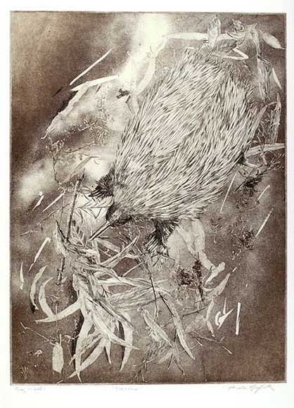 Artist: b'GRIFFITH, Pamela' | Title: b'Echidna' | Date: 1980 | Technique: b'etching, soft ground, spray resist printed in brown, from one zinc plate' | Copyright: b'\xc2\xa9 Pamela Griffith' Artist: b'GRIFFITH, Pamela' | Title: b'Echidna' | Date: 1980 | Technique: b'etching, soft ground, spray resist printed in brown, from one zinc plate' | Copyright: b'\xc2\xa9 Pamela Griffith'