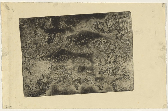 Artist: b'Lempriere, Helen' | Title: b'not titled (School of fish)' | Date: c.1964 | Technique: b'aquatint and softground etching, printed in black ink, from one plate' Artist: b'Lempriere, Helen' | Title: b'not titled (School of fish)' | Date: c.1964 | Technique: b'aquatint and softground etching, printed in black ink, from one plate'