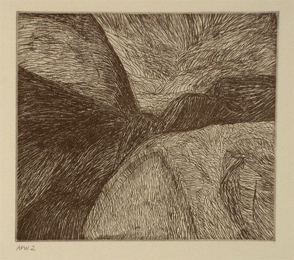 Artist: b'Andrews, Daisy.' | Title: b'Pamarr' | Date: 1994, October - November | Technique: b'etching, printed in black ink, from one plate' Artist: b'Andrews, Daisy.' | Title: b'Pamarr' | Date: 1994, October - November | Technique: b'etching, printed in black ink, from one plate'