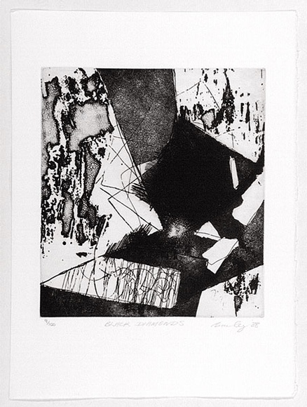 Artist: b'Bailey, Kenneth W.' | Title: b'Black diamonds.' | Date: 1988 | Technique: b'etching, printed in black ink, from one plate' Artist: b'Bailey, Kenneth W.' | Title: b'Black diamonds.' | Date: 1988 | Technique: b'etching, printed in black ink, from one plate'
