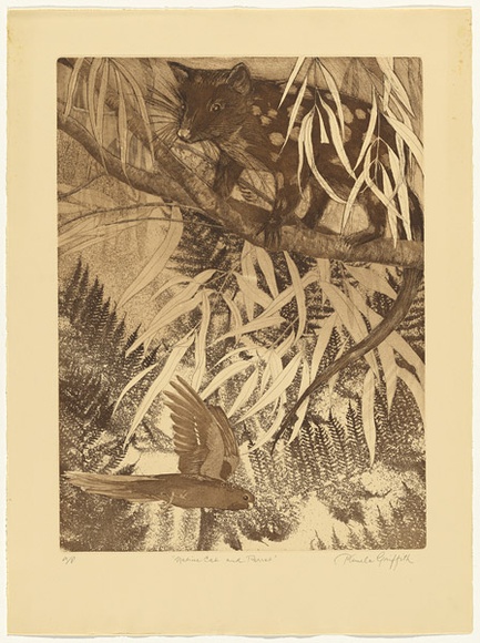 Artist: b'GRIFFITH, Pamela' | Title: b'Native cat and parrot' | Date: 1984 | Technique: b'hard ground, aquatint, soft ground and spray stencil on one, zinc' | Copyright: b'\xc2\xa9 Pamela Griffith' Artist: b'GRIFFITH, Pamela' | Title: b'Native cat and parrot' | Date: 1984 | Technique: b'hard ground, aquatint, soft ground and spray stencil on one, zinc' | Copyright: b'\xc2\xa9 Pamela Griffith'