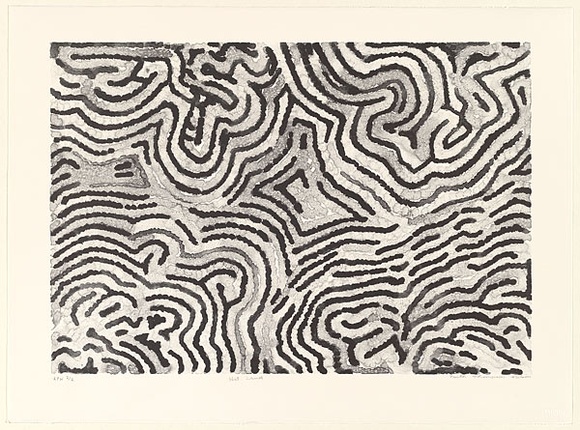 Artist: b'Thompson Nelson, Faith.' | Title: b'Wet land' | Date: 2000, November | Technique: b'lithograph, printed in black ink, from one aluminium plate' Artist: b'Thompson Nelson, Faith.' | Title: b'Wet land' | Date: 2000, November | Technique: b'lithograph, printed in black ink, from one aluminium plate'