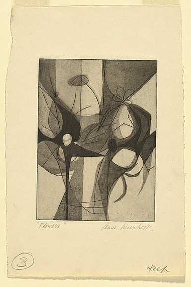 Artist: b'Wienholt, Anne.' | Title: b'Flowers' | Technique: b'engraving, softground-etching and aquatint, printed in black ink, from one copper plate' Artist: b'Wienholt, Anne.' | Title: b'Flowers' | Technique: b'engraving, softground-etching and aquatint, printed in black ink, from one copper plate'