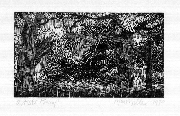 Artist: b'Miller, Max.' | Title: b'Forest landscape, trees, ferns' | Date: 1970 | Technique: b'wood-engraving, printed in black ink, from one block' Artist: b'Miller, Max.' | Title: b'Forest landscape, trees, ferns' | Date: 1970 | Technique: b'wood-engraving, printed in black ink, from one block'