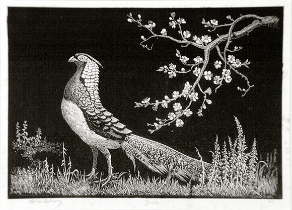 Artist: b'LINDSAY, Lionel' | Title: b'Spring' | Date: 1936 | Technique: b'wood-engraving, printed in black ink, from one block' | Copyright: b'Courtesy of the National Library of Australia' Artist: b'LINDSAY, Lionel' | Title: b'Spring' | Date: 1936 | Technique: b'wood-engraving, printed in black ink, from one block' | Copyright: b'Courtesy of the National Library of Australia'