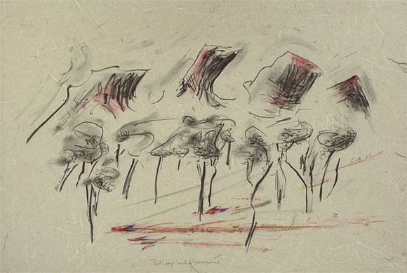 Artist: b'Trenfield, Wells.' | Title: b'Red Lorys in the Grampians' | Date: 1983 | Technique: b'lithograph, printed in colour, from multiple stones, with paste and crayon' Artist: b'Trenfield, Wells.' | Title: b'Red Lorys in the Grampians' | Date: 1983 | Technique: b'lithograph, printed in colour, from multiple stones, with paste and crayon'
