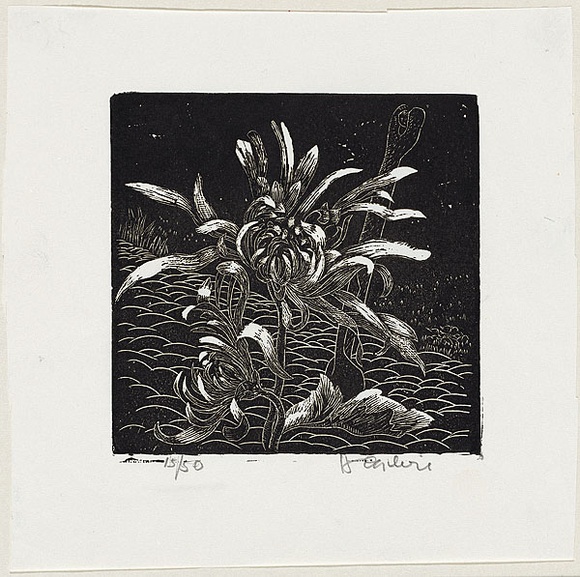 Artist: b'OGILVIE, Helen' | Title: b'Things of the ground.' | Date: c.1943 | Technique: b'wood-engraving, printed in black ink, from one block' Artist: b'OGILVIE, Helen' | Title: b'Things of the ground.' | Date: c.1943 | Technique: b'wood-engraving, printed in black ink, from one block'