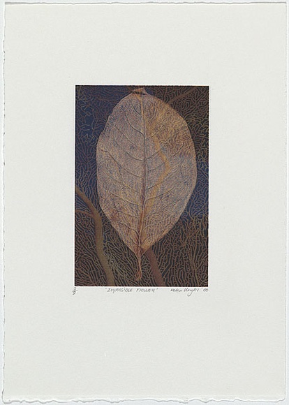 Artist: b'Wright, Helen.' | Title: b'(Single gold leaf, black and blue background and coral design)' | Date: 2000 | Technique: b'digital print, printed in colour, from digital file' Artist: b'Wright, Helen.' | Title: b'(Single gold leaf, black and blue background and coral design)' | Date: 2000 | Technique: b'digital print, printed in colour, from digital file'