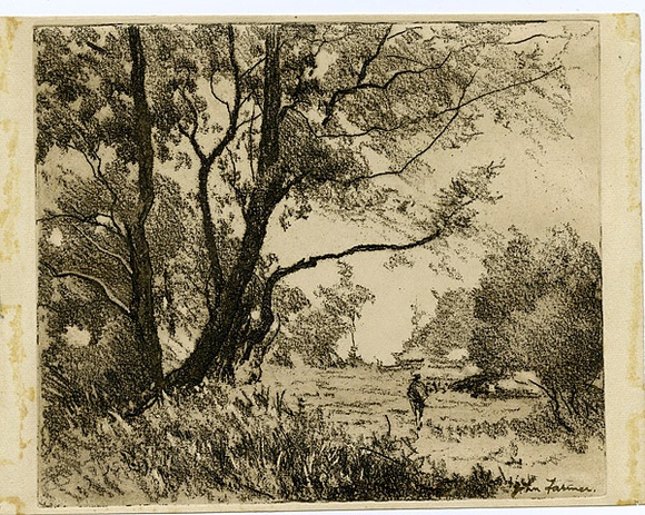 Artist: b'Farmer, John.' | Title: b'Trees on a bank.' | Date: c.1960 | Technique: b'softground-etching, printed in black ink, from one plate' Artist: b'Farmer, John.' | Title: b'Trees on a bank.' | Date: c.1960 | Technique: b'softground-etching, printed in black ink, from one plate'
