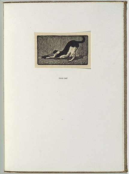 Artist: b'LINDSAY, Lionel' | Title: b'The cat' | Date: 1922 | Technique: b'wood-engraving, printed in black ink, from one block' | Copyright: b'Courtesy of the National Library of Australia' Artist: b'LINDSAY, Lionel' | Title: b'The cat' | Date: 1922 | Technique: b'wood-engraving, printed in black ink, from one block' | Copyright: b'Courtesy of the National Library of Australia'