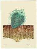 Artist: b'King, Grahame.' | Title: b'Fall' | Date: 1978 | Technique: b'lithograph, printed in colour, from three stones [or plates]'